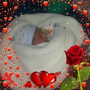 Meet your Posher, Romano